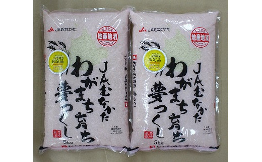 【福岡県産米】夢つくし10kg 令和6年産[F2234a]