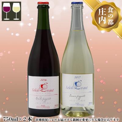 ふるさと納税 庄内町 食の都庄内 月山ワイン ソレイユ・ルバン 微発泡 750ml×2本セット ワイン 果実酒 ブドウ