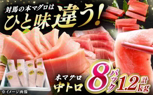 【1週間以内発送】【通常配送】対馬産 養殖 本マグロ 中トロ 1.2kg(8パック)《対馬市》【対海】 [WAH020] スピード発送 最速発送 最短発送