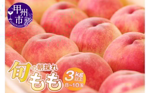 旬の朝採れ特選大玉もも 3.0kg以上（8～10玉）【2026年発送】（HO）B17-411
