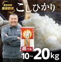 【ふるさと納税】《令和6年産・新米》農薬節減 農家直送 笑顔で育てた 愛知県産 こしひかり 10kg 20kg 選べる お米 白米 玄米 米 特別生産 減農薬 白米 10キロ 20キロ 精米 ブランド米 ふるさと納税米 こめこめショップ 高評価 高レビュー 産地直送 送料無料 愛知県 豊橋市