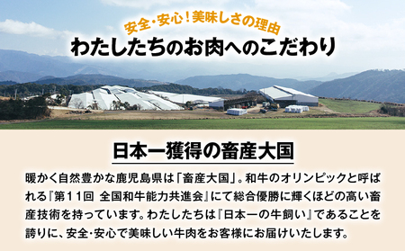 自社 ブランド 牛【 上村牛 】ユッケ 5人前 K002-043_05 肉 上村牛ユッケ 生食 黒毛和牛 新鮮 とろける 牛肉 夕食 夜ご飯 夜ごはん よるごはん カミチク ふるさと納税 鹿児島 鹿児