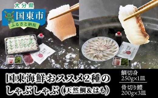  国東海鮮おススメ2種のしゃぶしゃぶ「天然鯛＆はも」_29011B