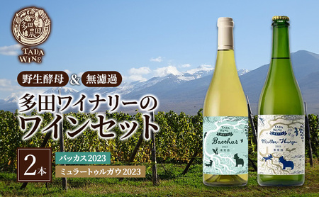 ワイン 【野生酵母】フルーティな白ワイン2本セット●上富良野の多田ワイナリー 白ワイン セット 酒 お酒 アルコール