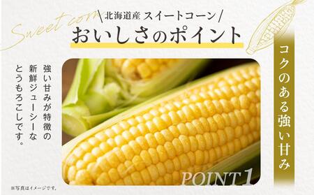 【先行予約】【数量限定】北海道産スイートコーン　１０本入　