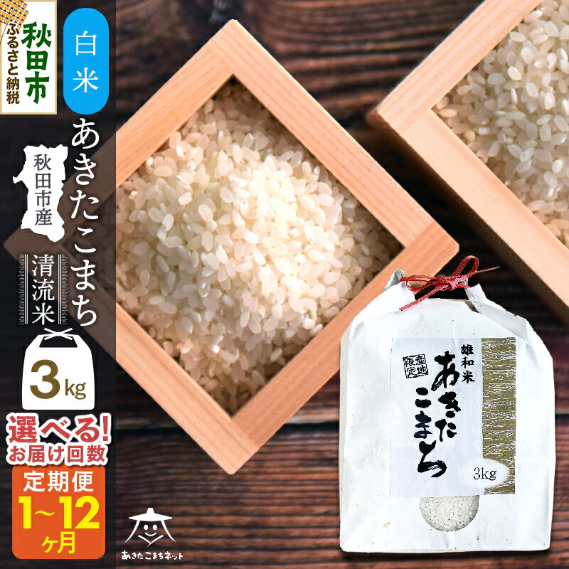 【ふるさと納税】あきたこまち 清流米 3kg 秋田市雄和産【白米】【選べるお届け回数(1回〜定期便) 】