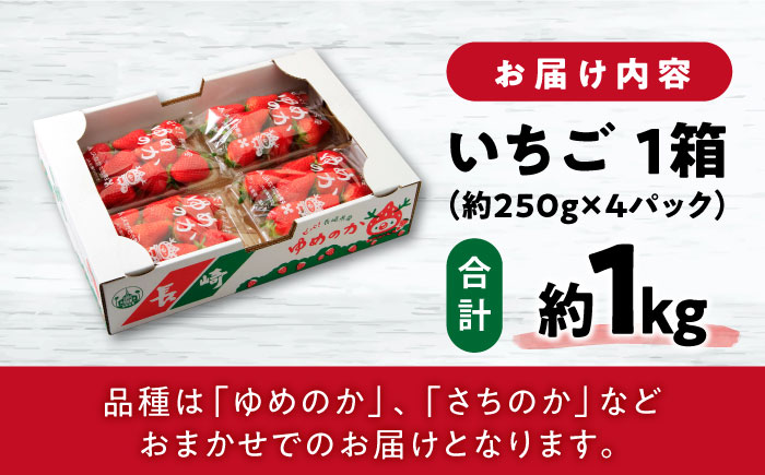 【2026年2月上旬より順次発送予定】いちご 1箱 (約250g×4P) 約1kg / いちご 苺 イチゴ フルーツ ふるーつ 果物 くだもの / 大村市 / おおむら夢ファームシュシュ[ACAA10