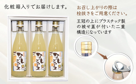 梨ジュース 720ml×3本 豊水 梨果汁100％ ストレートジュース 果汁飲料 梨 フルーツジュース ギフト 贈り物 ジュース 丸絞り