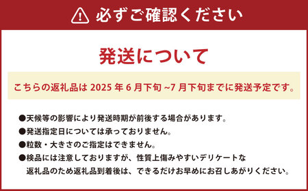 清田さんのパッションフルーツ 約1kg（9～15玉）【2025年6月下旬～7月下旬迄発送予定】