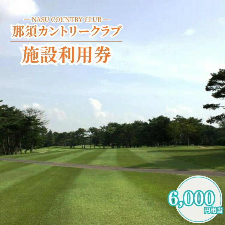 【ふるさと納税】那須カントリークラブ　施設利用券 チケット ゴルフ プレー券 〔C-12〕