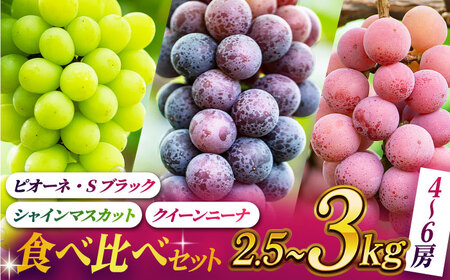 【先行予約】【数量限定】ぶどうの宝石 3色 贅沢食べ比べセット 計2.5〜3kg（4〜6房）【合同会社 社方園】ぶどう 詰め合わせ  セット 食べ比べ 熊本 ぶどう食べ比べ ぶどうセット 熊本のぶどう 九州産ぶどう マスカット 贅沢ぶどう クイーンニーナ [ZBZ017]