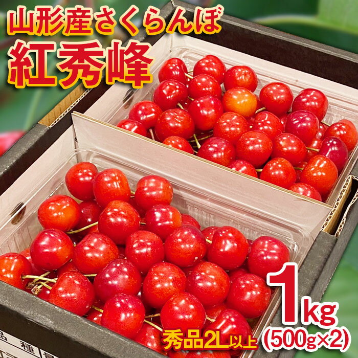 【ふるさと納税】さくらんぼ 紅秀峰 ”希少な大粒”　厳選 2Lサイズ 1kg(500g×2パック）【令和8年産先行予約】FS25-570 くだもの 果物 フルーツ 山形 山形県 山形市 お取り寄せ 2026年産