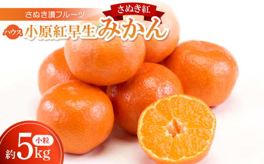 
                  さぬき讃フルーツ「ハウス小原紅早生みかん(さぬき紅)」小粒約5kg ＜令和8年7～8月発送＞【1609810】
                