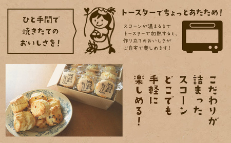 スコーン 詰め合わせ 3種 9個 プレーン チョコチップ クランベリー 《30日以内に出荷予定(土日祝除く)》星子スコーン 千葉県 流山市 おやつ
