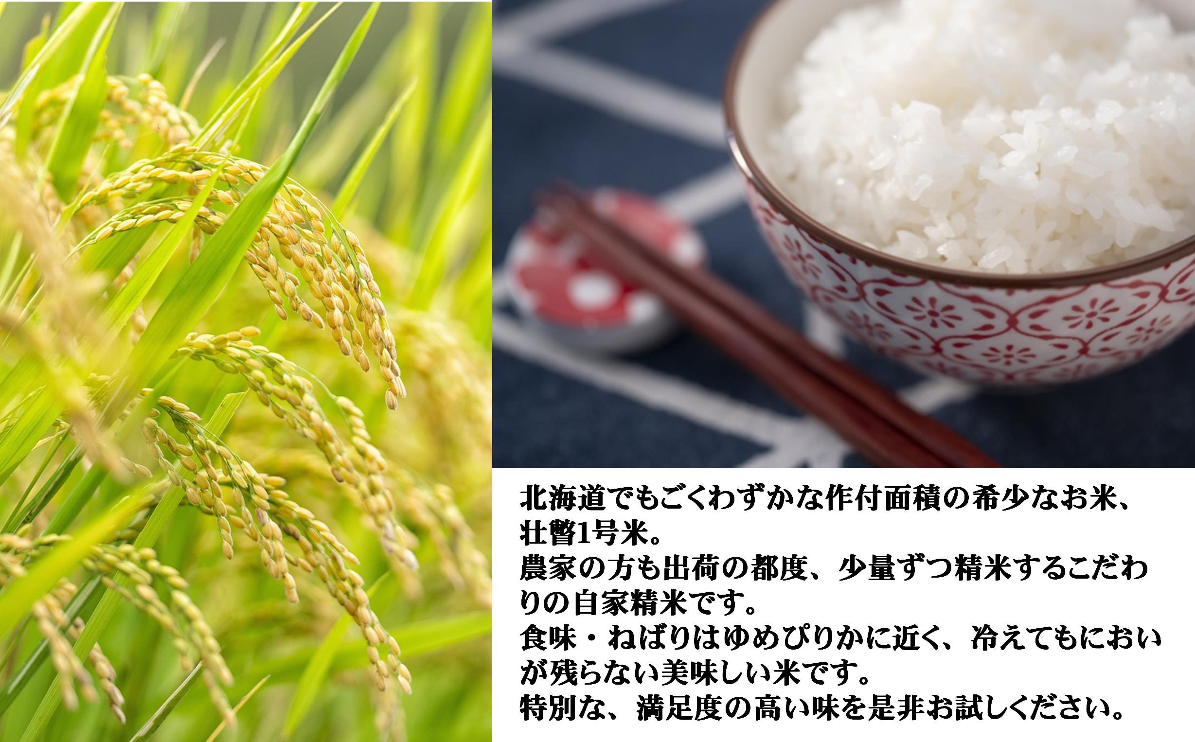 壮瞥1号米5kg SBTA033