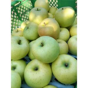 したみち農園 / りんごジュース 果汁100% 180ml×6本セット【1724882】