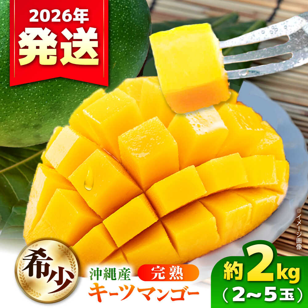 【ふるさと納税】【2026年発送 先行予約 数量限定】 【訳あり】 沖縄県産キーツマンゴー 約2kg (2～5玉) マンゴー 沖縄 果物 フルーツ ギフト 沖縄市 / ちゃんぷる～市場 [BCAA005]