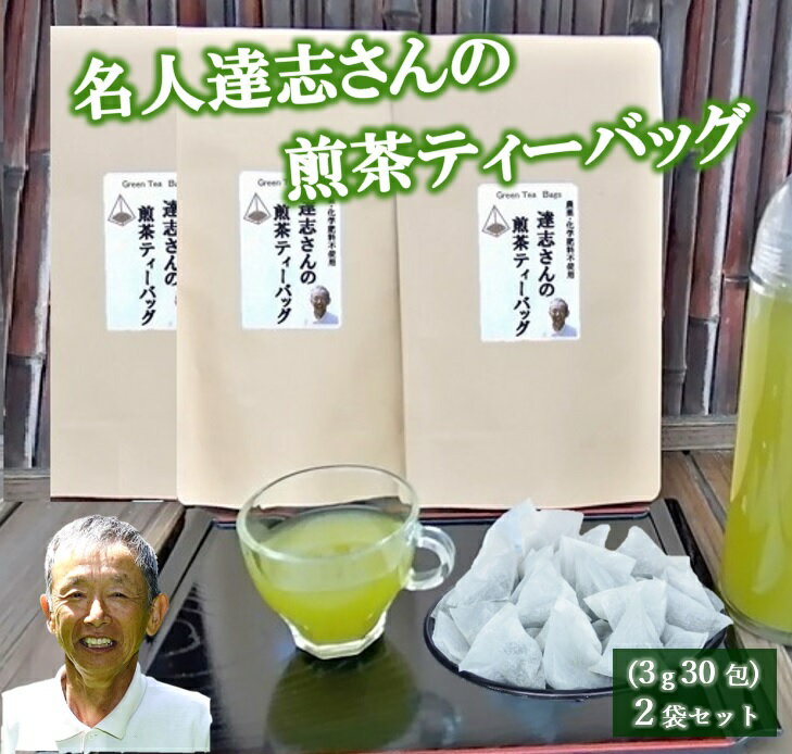 【ふるさと納税】 煎茶 ティーバッグ 30包 3袋 セット 有機農家 静岡県産 日本茶 お茶 緑茶 水出し 水出し煎茶 茶葉 茶 煎茶ティーバッグ 茶農家 自然栽培 無農薬 急須いらず 簡単 便利 藤枝市 静岡県