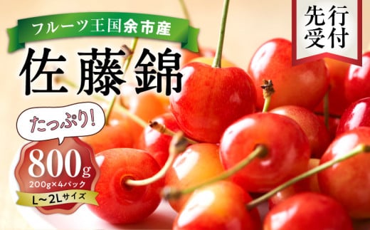 2025年発送【先行予約】令和7年産 佐藤錦【L～2Lバラ詰め】200g×4【ニトリ観光果樹園】さくらんぼの王様 余市 北海道 フルーツ王国 さくらんぼ サクランボ 桜桃 佐藤錦 余市産さくらんぼ 人気さくらんぼ ニトリ