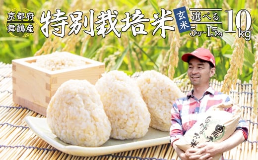  令和6年産 棚田米 玄米 10kg 特別栽培米 7割削減 農家直送 生産者直送 コシヒカリ こしひかり 5キロ 京都産 舞鶴産 京都 お米 米 ごはん ご飯