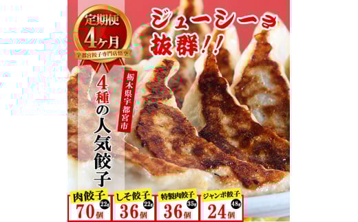 【4ヶ月定期便】餃子専門店 宇都宮 悟空 4種の人気餃子定期便 ❘餃子 冷凍 ぎょうざ ギョーザ 紫蘇 シソ 肉たっぷり 肉多め  大きい ジャンボ 人気 名物 行列 国産野菜 国産豚肉 ジューシー スタミナ パリパリ もちもち グルメ おかず 食べ比べ おつまみ 栃木県 簡単 小分け 冷凍食品 ※離島への配送不可
