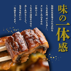 うなぎのせいろ蒸し（2個セット）_期間限定 国産 うなぎ せいろ蒸し 2個 セット 蒲焼 電子レンジ対応 お手軽 レンチン 鰻専門問屋 樋口商店 真空パック 冷凍 お取り寄せ グルメ ギフト 時短 調