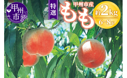 甲州市産 桃 約2kg 6～8玉（特選）【2025年発送】（OGN）B15-1801【桃 もも モモ 令和7年発送 期間限定 山梨県産 甲州市 フルーツ 果物】