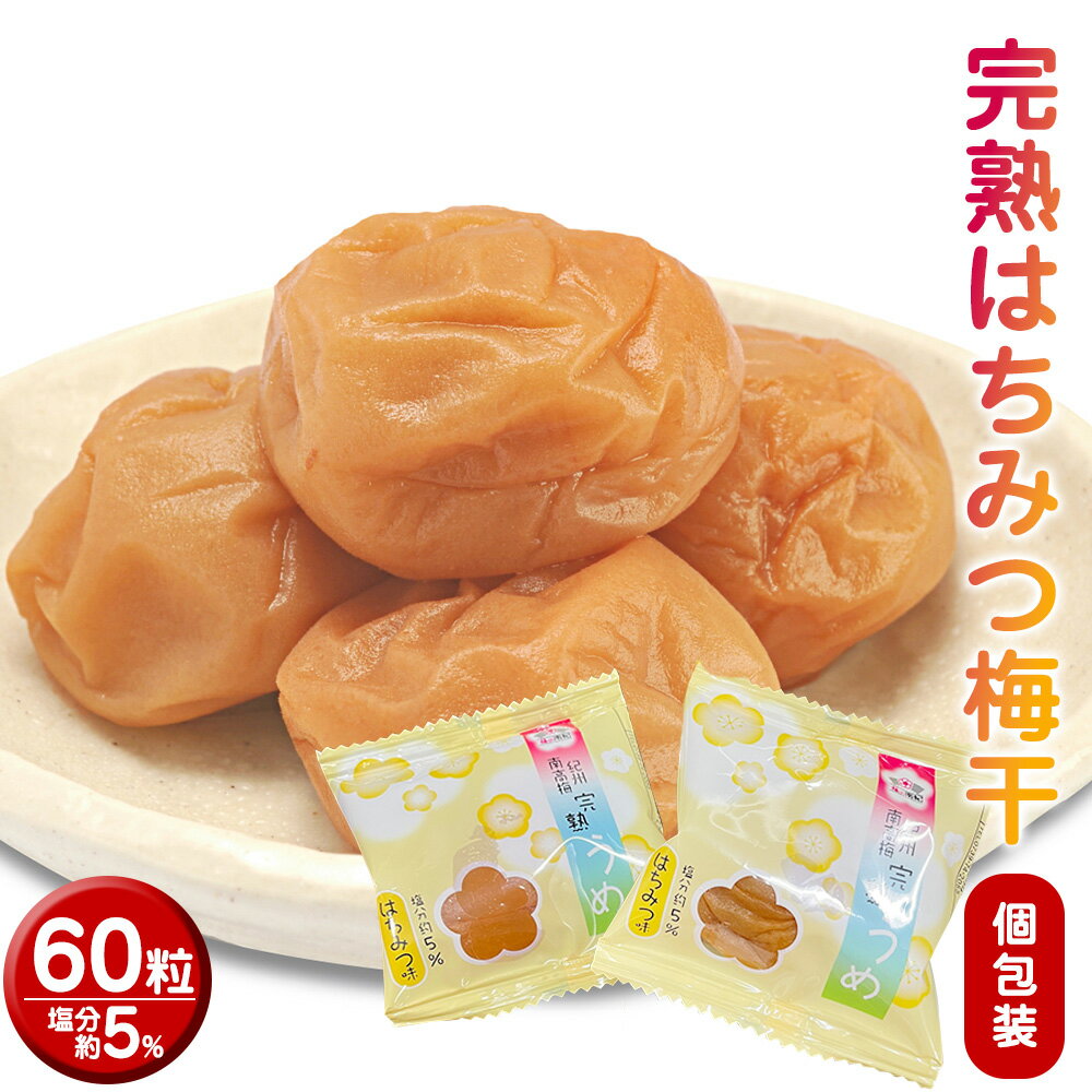 【ふるさと納税】完熟うめ はちみつ 840g (14g×60粒)