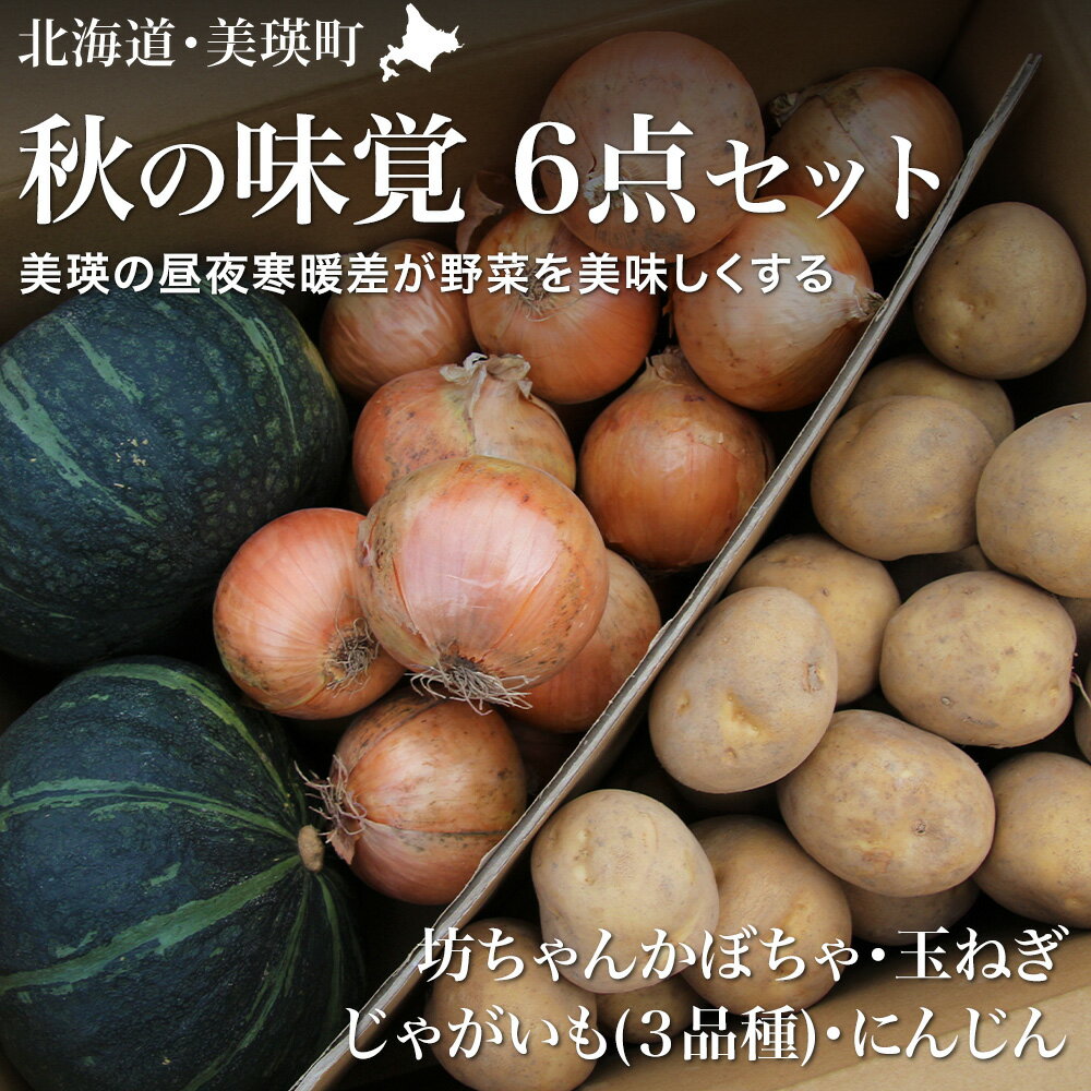 【ふるさと納税】≪令和8年産予約受付！≫秋の味覚6点セット かぼちゃ 南瓜 玉ねぎ じゃがいも　にんじん 野菜 セット 詰め合わせ 北海道 北海道美瑛 北海道美瑛町 美瑛町 美瑛 秋野菜 野菜 送料無料 美景農園[017-67]