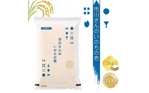 【令和7年産・白米5kg】特別栽培米 市川さんのいのちの壱（2025年11月出荷開始予定）先行予約 新米 信州【 米 コメ 備蓄品 仕送り おすそ分け 備蓄米 長野県 佐久市 】