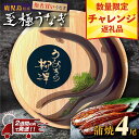 【ふるさと納税】数量限定 うなぎの柳澤 うなぎ 長蒲焼 4尾 《 2週間以内発送予定 》 | ふるさと納税 うなぎ 高級 ウナギ 鰻 国産 蒲焼 蒲焼き たれ 鹿児島 大隅 大崎町 ふるさと 人気 送料無料