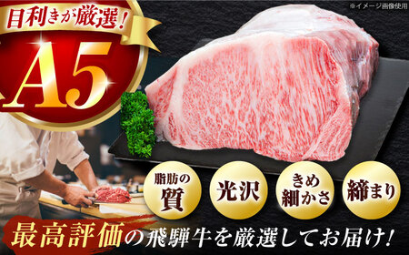 【6回定期】 飛騨牛　A5等級　大容量　「肉のキング」特選飛騨牛すきやき用(ロース750g)[AVAG006]