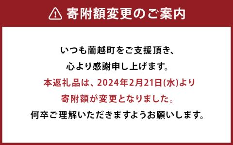 北海道 蘭越産 じゃがいも（きたあかり） 約10kg