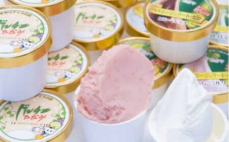 ドルチェかがみ 砂糖不使用のヘルシージェラートセット 12個入り【ジェラート ジェラート ジェラート ジェラート ジェラート】 dc-0027