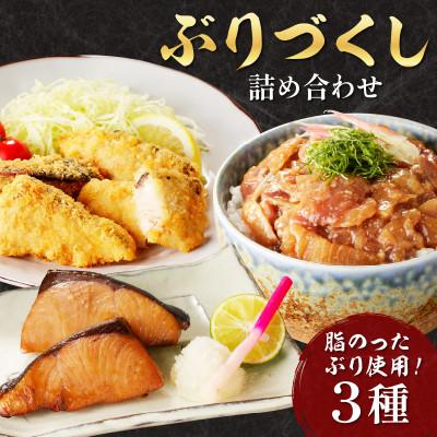 ふるさと納税 松浦市 ぶりづくし詰め合わせ