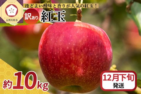 【2025年12月下旬発送】【訳あり】 りんご 10kg 紅玉 アップルパイ に最適 青森 不揃い