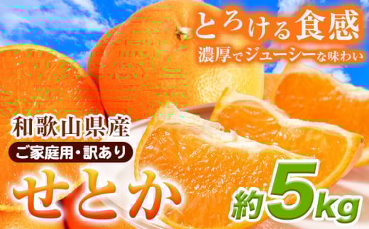 【先行予約】【家庭用 訳あり】とろける食感!ジューシー柑橘 せとか 約5kg 株式会社魚鶴 《2026年2月上旬-3月中旬頃出荷》 和歌山県 日高川町 みかん 柑橘 果物 フルーツ 送料無料