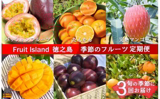 1903 フルーツアイランド徳之島 季節のフルーツ定期便 ( 3回お届け 完熟マンゴー マンゴー パッションフルーツ たんかん 柑橘 果物 徳之島 奄美 鹿児島 定期便 世界自然遺産 旬 )