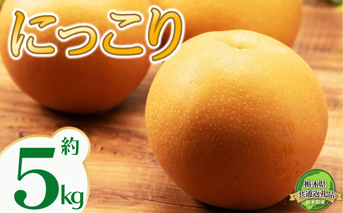 
                  【2026年先行予約】栃木県共通返礼品 宇都宮産 にっこり 5kg | にっこり 新高 豊水 梨 なし 新品種 先行予約 大粒 新鮮 甘い 美味しい 果物 共通返礼品 フルーツ デザート 栃木県 那珂川町 送料無料
                