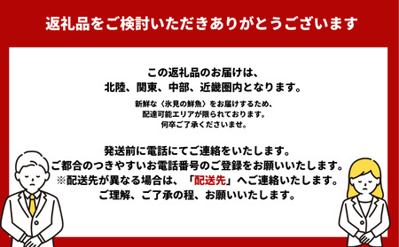 【３回 定期便】 氷見漁港朝どれ！旬の新鮮刺身おまかせセット ２、３人前（３月・６月・１１月）