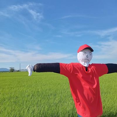 ふるさと納税 燕市 【令和7年産新米 先行予約】おかずのいらないコシヒカリ「つばめ返し」玄米 20kg |  | 03
