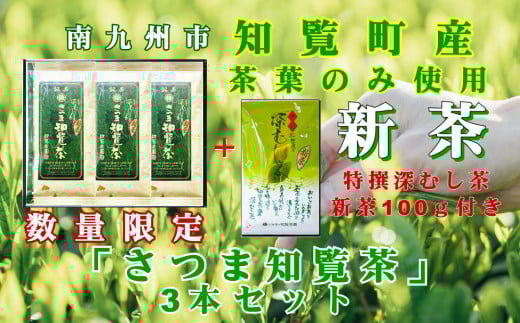 129-01-1 【知覧茶新茶祭り】【期間限定･増量】知覧茶園の深むし茶「さつま知覧茶」3本セット 特撰深むし茶100g付