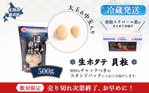 【北海道内限定配送！生ほたて】《期間限定》北海道雄武産 生玉ほたて500ｇ 塩水パック（冷蔵）