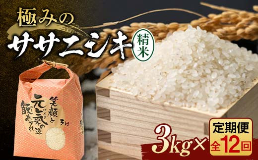 【令和8年産】定期便 全12回 極みのササニシキ（精米）3kg 米 お米 おこめ ふるさと納税 山形県 新庄市 F3S-2836