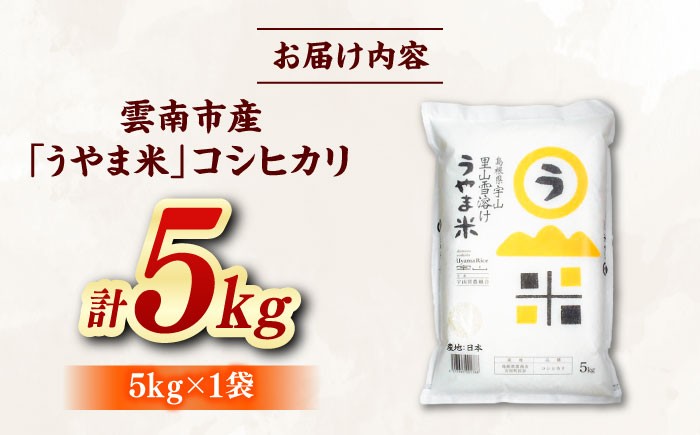 コシヒカリ 白米 島根