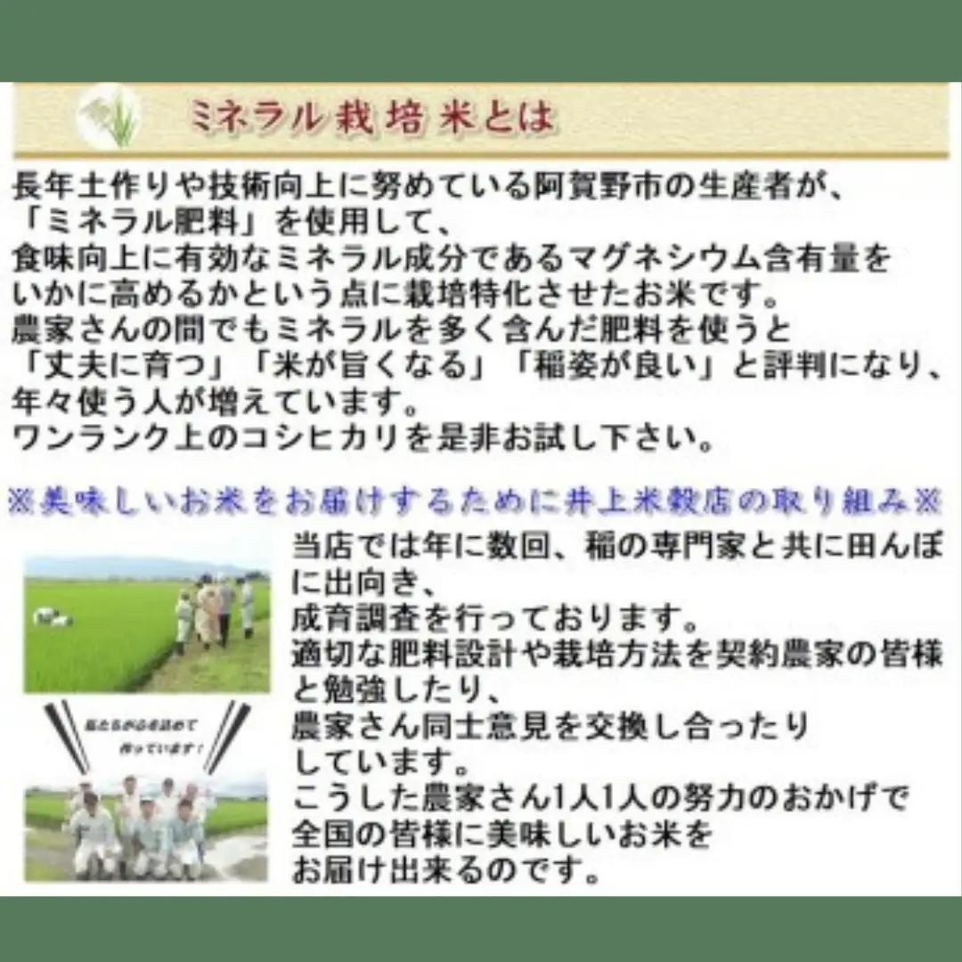 【令和7年産】3ヶ月定期便 ミネラル栽培こしひかり 5kg×3回 計15kg 白米 精米 井上米穀店  新潟県 米 こめ コメ 1I12040