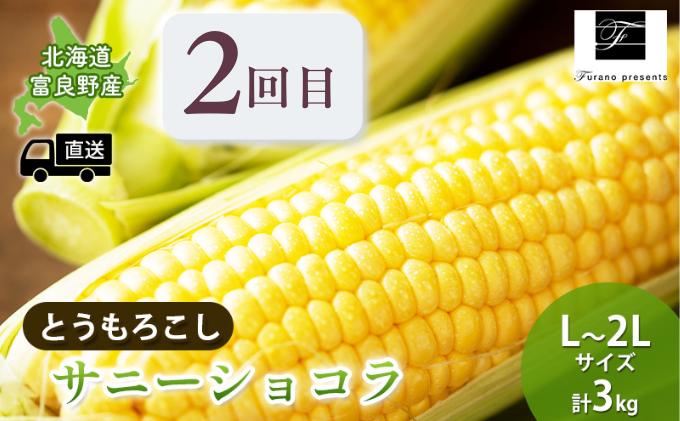 【年3回定期便】【2024年7～10月お届け】高品質 フラノプレゼンツ が贈る 青肉 メロン 野菜 大満足 詰め合わせ 定期便