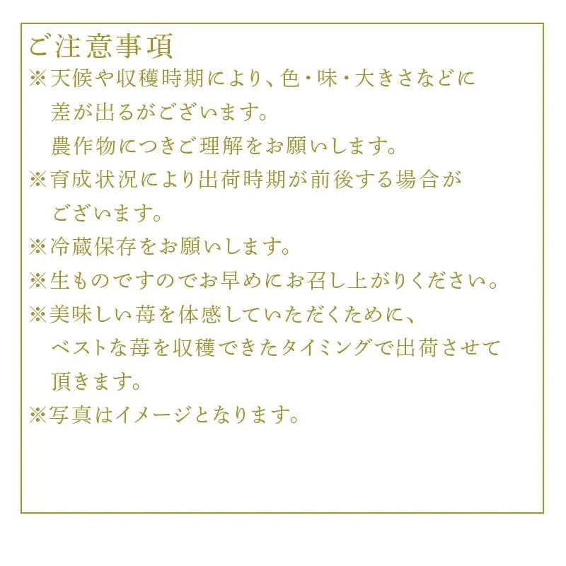 『先行予約』【令和9年3月より順次発送】唐津産 いちごさん 約250g×6パック(合計約1.5kg)