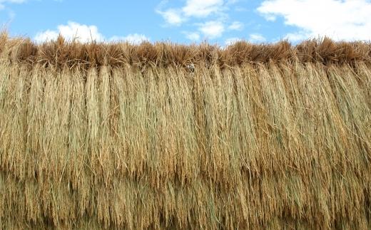 【新米】【毎月定期便】令和７年産「五つ星お米マイスター」厳選　天日干し魚沼産コシヒカリ　精米10kg（5kg×2個）×12回