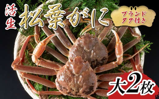 【活生】ブランドタグ付き松葉ガニ 大2枚 2026年11月～順次発送｜鳥取 松葉がに かに【22050】